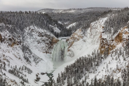 Picture of LOWER FALLS FROM LOOKOUT POINT, YELLOWSTONE NATIONAL PARK