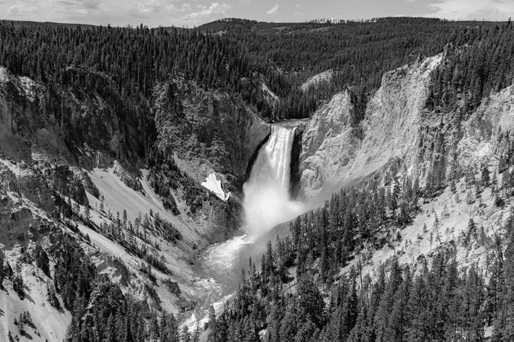 Picture of LOWER FALLS FROM LOOKOUT POINT, YELLOWSTONE NATIONAL PARK