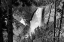 Picture of LOWER FALLS FROM LOOKOUT POINT, YELLOWSTONE NATIONAL PARK