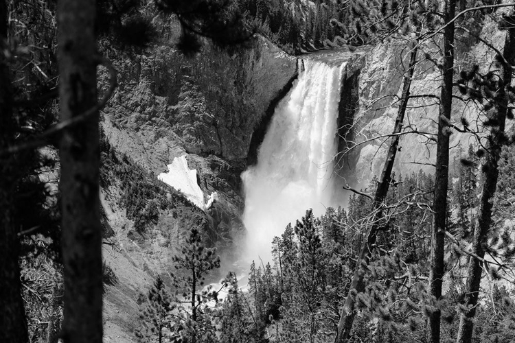 Picture of LOWER FALLS FROM LOOKOUT POINT, YELLOWSTONE NATIONAL PARK