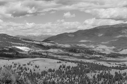 Picture of MAMMOTH HOT SPRINGS, YELLOWSTONE NATIONAL PARK