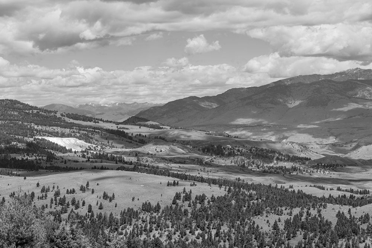 Picture of MAMMOTH HOT SPRINGS, YELLOWSTONE NATIONAL PARK