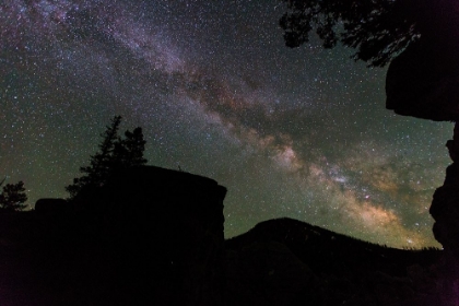Picture of MILKY WAY NEAR MAMMOTH HOT SPRINGS, YELLOWSTONE NATIONAL PARK