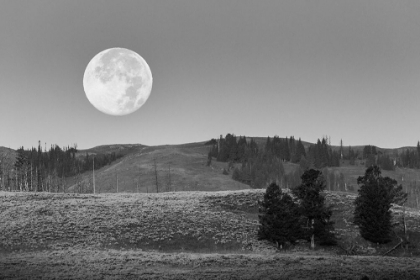 Picture of MOONSET, LAMAR VALLEY, YELLOWSTONE NATIONAL PARK