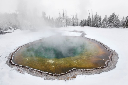 Picture of MORNING GLORY POOL, YELLOWSTONE NATIONAL PARK