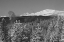 Picture of MOUNT HOLMES AND THERMAL FEATURE, YELLOWSTONE NATIONAL PARK