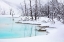 Picture of NEWLY FORMED POOL AT CANARY SPRING, YELLOWSTONE NATIONAL PARK