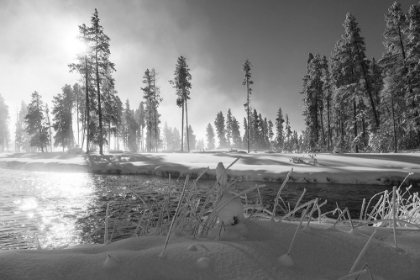 Picture of NEZ PERCE CREEK, YELLOWSTONE NATIONAL PARK