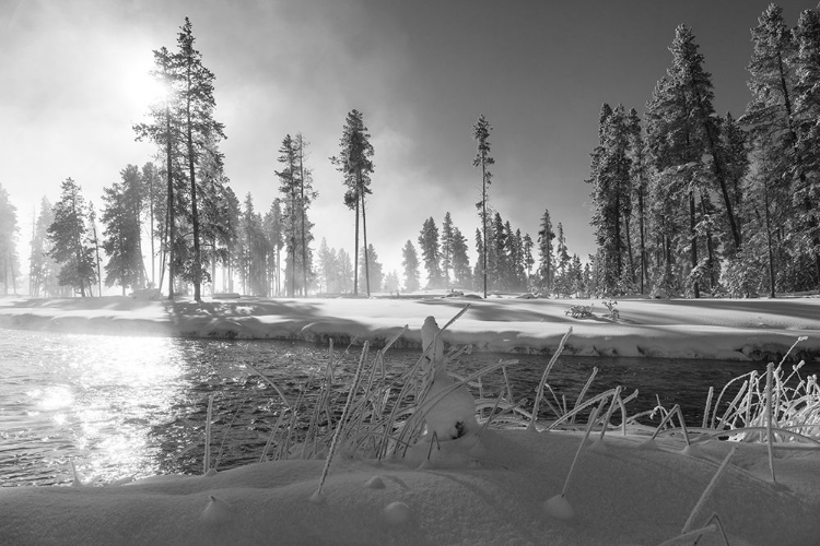 Picture of NEZ PERCE CREEK, YELLOWSTONE NATIONAL PARK