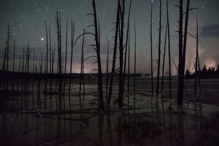 Picture of NIGHT SKY AT FOUNTAIN PAINT POTS, YELLOWSTONE NATIONAL PARK