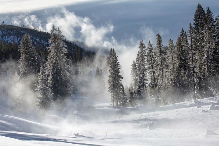 Picture of OBSIDIAN CREEK, YELLOWSTONE NATIONAL PARK