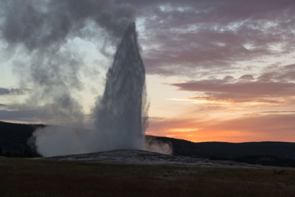 Picture of OLD FAITHFUL ERUPTION AT SUNSET, YELLOWSTONE NATIONAL PARK