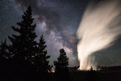 Picture of OLD FAITHFUL ERUPTS, YELLOWSTONE NATIONAL PARK