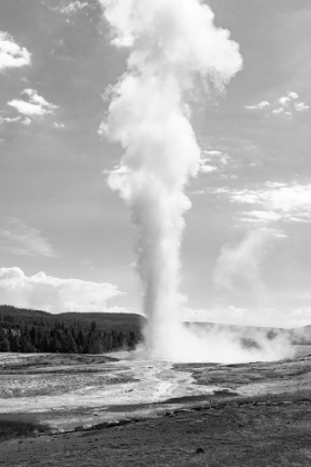 Picture of OLD FAITHFUL, YELLOWSTONE NATIONAL PARK