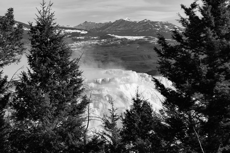 Picture of CANARY SPRING, YELLOWSTONE NATIONAL PARK