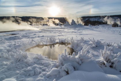 Picture of PARHELION AND RIME ICE, UPPER GEYSER BASIN, YELLOWSTONE NATIONAL PARK