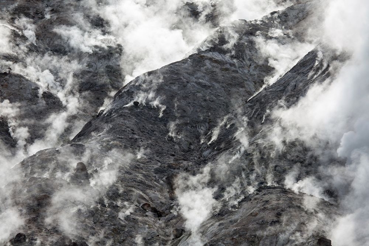 Picture of ROARING MOUNTAIN, YELLOWSTONE NATIONAL PARK