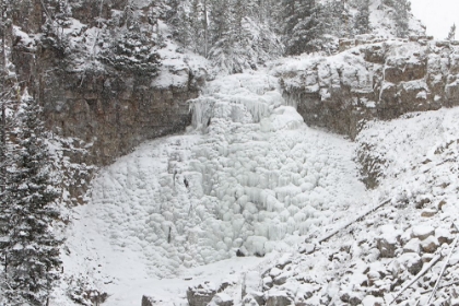 Picture of RUSTIC FALLS, YELLOWSTONE NATIONAL PARK