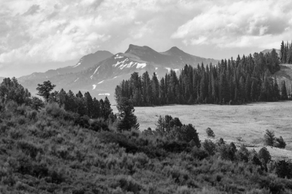 Picture of SADDLE MOUNTAIN AND POLLUX PEAK FROM DRUID PEAK HILLSIDE, YELLOWSTONE NATIONAL PARK