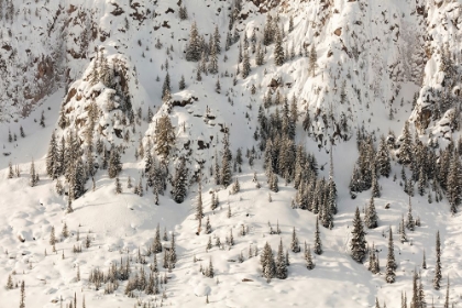 Picture of SNOWY CLIFFS OF MT. HAYNES, YELLOWSTONE NATIONAL PARK