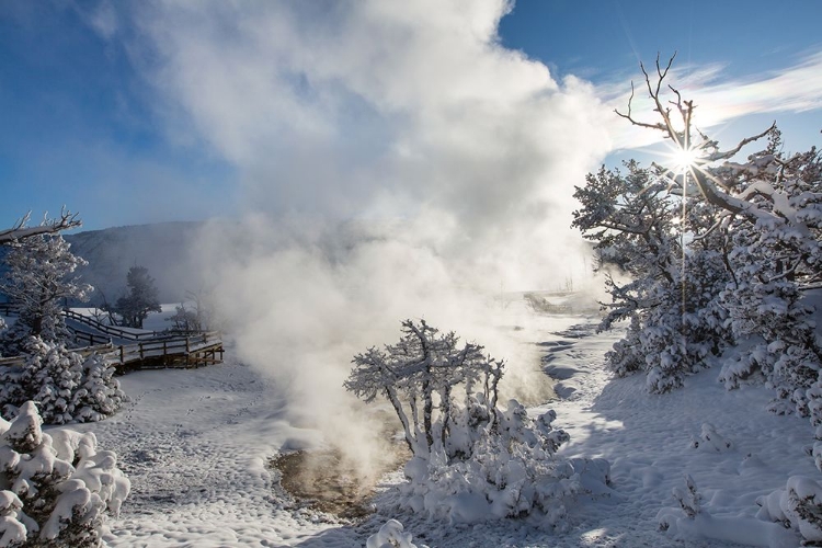 Picture of SNOWY SUNRISE, MAMMOTH HOT SPRINGS, YELLOWSTONE NATIONAL PARK