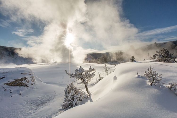 Picture of SNOWY SUNRISE, MAMMOTH HOT SPRINGS, YELLOWSTONE NATIONAL PARK