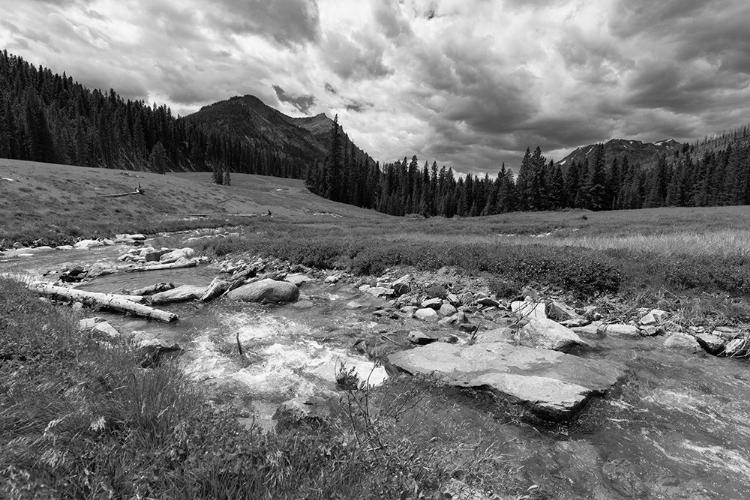 Picture of SODA BUTTE CREEK MCLAREN MINE RESTORATION SITE, YELLOWSTONE NATIONAL PARK