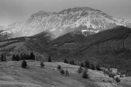 Picture of SPRING SNOW, LAMAR VALLEY, YELLOWSTONE NATIONAL PARK