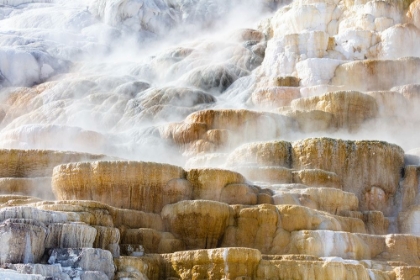 Picture of STEAM RISING FROM PALETE SPRING, YELLOWSTONE NATIONAL PARK