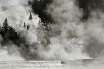 Picture of PORCELAIN BASIN, NORRIS GEYSER BASIN, YELLOWSTONE NATIONAL PARK