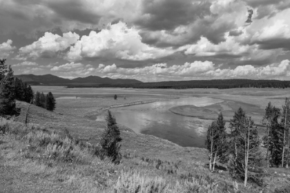 Picture of HAYDEN VALLEY AND YELLOWSTONE RIVER, YELLOWSTONE NATIONAL PARK