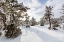 Picture of SNOW SLURRIES AT MAMMOTH HOT SPRINGS TERRACES, YELLOWSTONE NATIONAL PARK