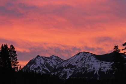 Picture of SUNRISE IN THE UPPER SODA BUTTE VALLEY, YELLOWSTONE NATIONAL PARK