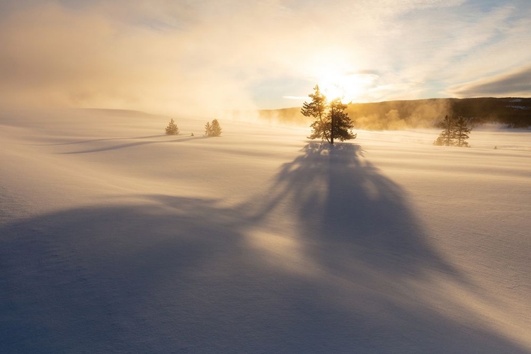 Picture of SUNRISE NEAR TERRACE SPRING, YELLOWSTONE NATIONAL PARK