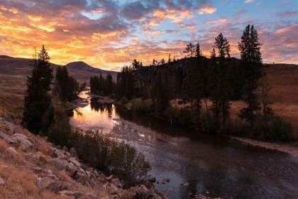 Picture of SUNRISE OVER LAMAR RIVER, YELLOWSTONE NATIONAL PARK