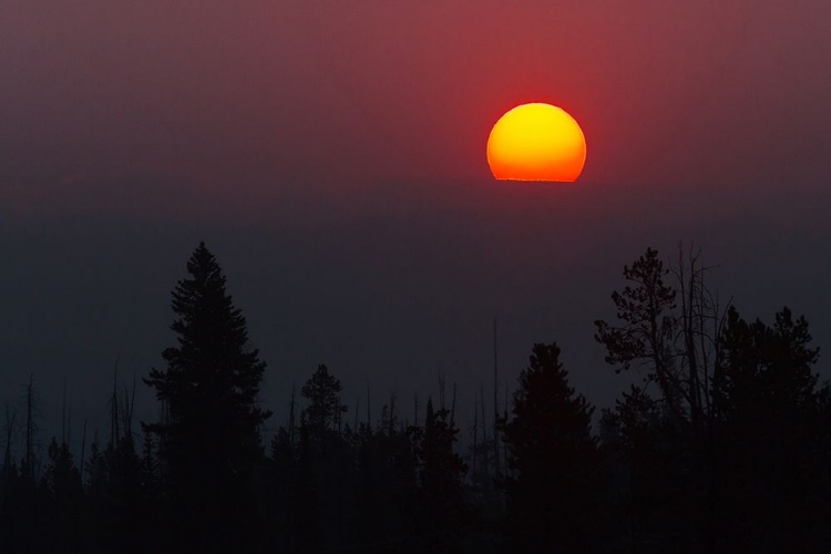 Picture of SUNRISE OVER THE BEARTOOTH PLATEAU, YELLOWSTONE NATIONAL PARK