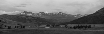 Picture of SUNSET IN LAMAR VALLEY, YELLOWSTONE NATIONAL PARK