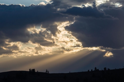 Picture of SUNSET, LAMAR VALLEY, YELLOWSTONE NATIONAL PARK