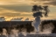 Picture of SUNSET, LION GEYSER, YELLOWSTONE NATIONAL PARK