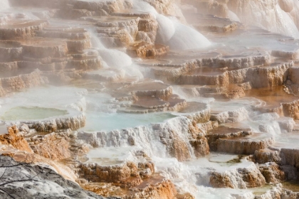 Picture of TERRACES OF CANARY SPRING, YELLOWSTONE NATIONAL PARK