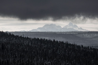 Picture of THE TETONS FROM CRAIG PASS, YELLOWSTONE NATIONAL PARK