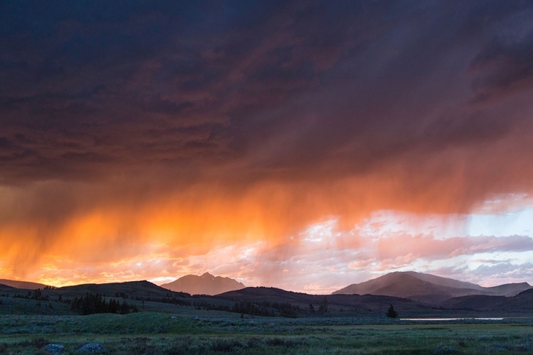 Picture of THUNDERSTORM AT SUNSET, SWAN LAKE FLAT, YELLOWSTONE NATIONAL PARK