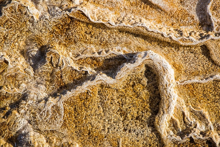 Picture of TRAVERTINE TERRACES AT MAMMOTH HOT SPRINGS, YELLOWSTONE NATIONAL PARK