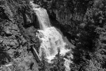 Picture of UNDINE FALLS FROM THE LAVA CREEK TRAIL, YELLOWSTONE NATIONAL PARK