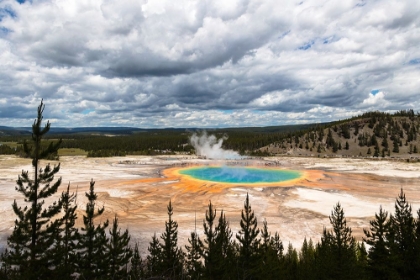Picture of VIEWS FROM THE GRAND PRISMATIC OVERLOOK TRAIL, YELLOWSTONE NATIONAL PARK