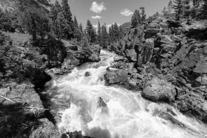Picture of VIEWS OF HELLORARING CREEK, YELLOWSTONE NATIONAL PARK