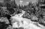 Picture of VIEWS OF HELLORARING CREEK, YELLOWSTONE NATIONAL PARK
