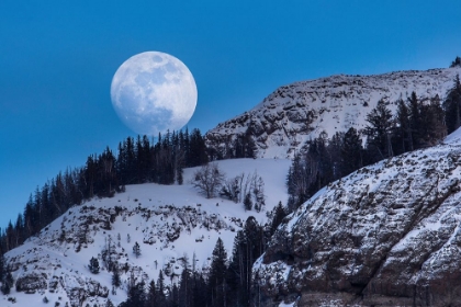 Picture of WAXING MOON, LAMAR VALLEY, YELLOWSTONE NATIONAL PARK