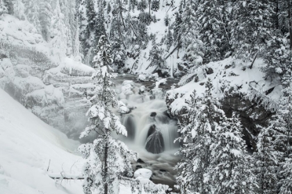 Picture of WINTER AT FIREHOLE FALLS, YELLOWSTONE NATIONAL PARK