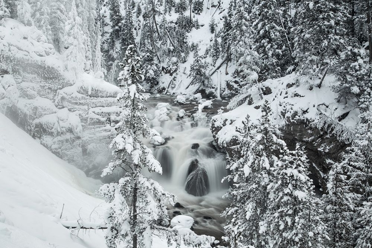 Picture of WINTER AT FIREHOLE FALLS, YELLOWSTONE NATIONAL PARK